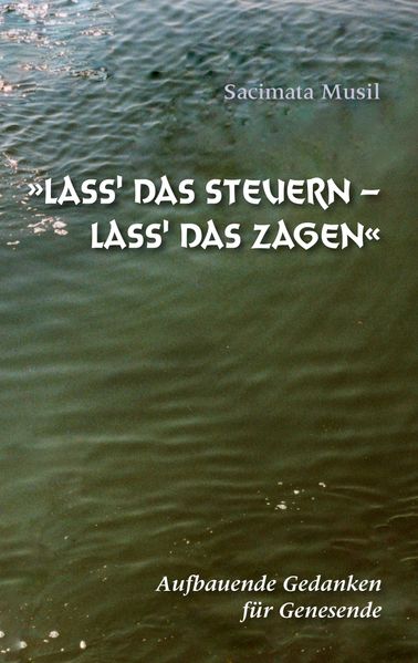 Cover von Lass‘ das Steuern – lass‘ das Zagen