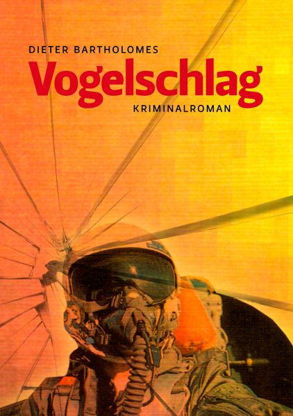 Cover von Vogelschlag