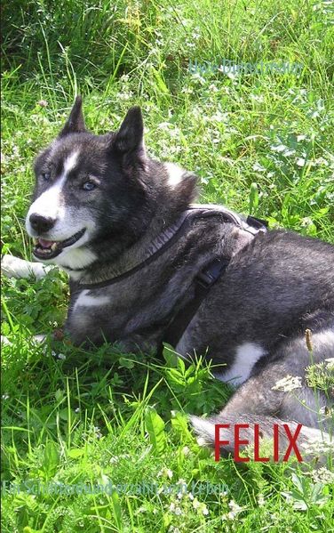 Cover von Felix