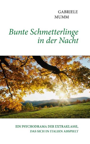 Cover von Bunte Schmetterlinge in der Nacht