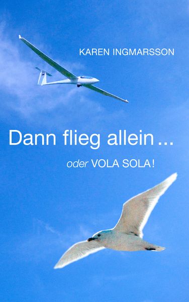 Cover von Dann flieg allein … oder Vola Sola!