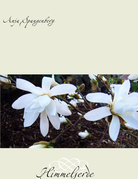 Cover von Himmelserde