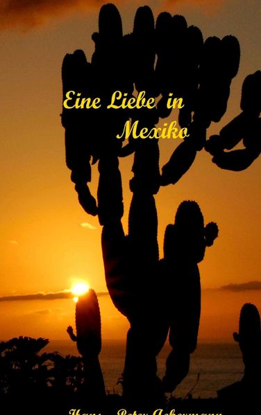 Cover von Eine Liebe in Mexiko