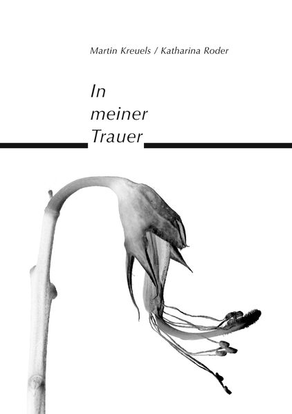Cover von In meiner Trauer