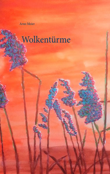 Cover von Wolkentürme