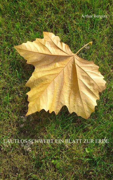 Cover von Lautlos schwebt ein Blatt zur Erde
