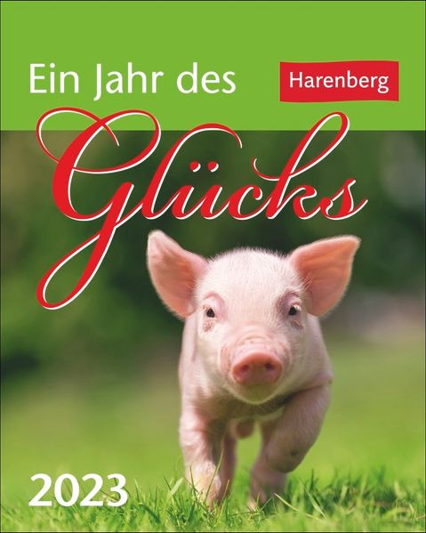 Cover von Ein Jahr des Glücks Mini-Geschenkkalender 2023. Jeden Tag ein kleines Glück – Zitate, Aphorismen und Stichwörter im kleinen Jahreskalender. Motivierender Mini-Kalender zum Aufstellen