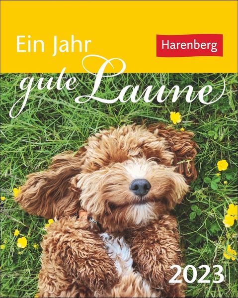 Cover von Ein Jahr gute Laune Mini-Geschenkkalender 2023. Kleiner Kalender für jeden Tag Schmunzeln, mit 365 Zitaten zum Lachen. Aufstellkalender 2023 für die tägliche Portion Spaß