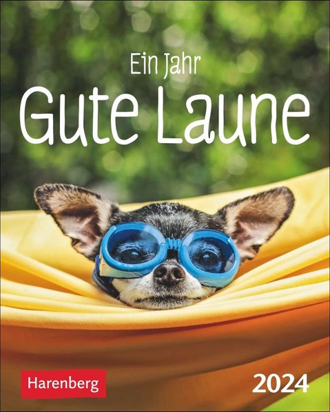 Cover von Ein Jahr gute Laune Mini-Geschenkkalender 2024
