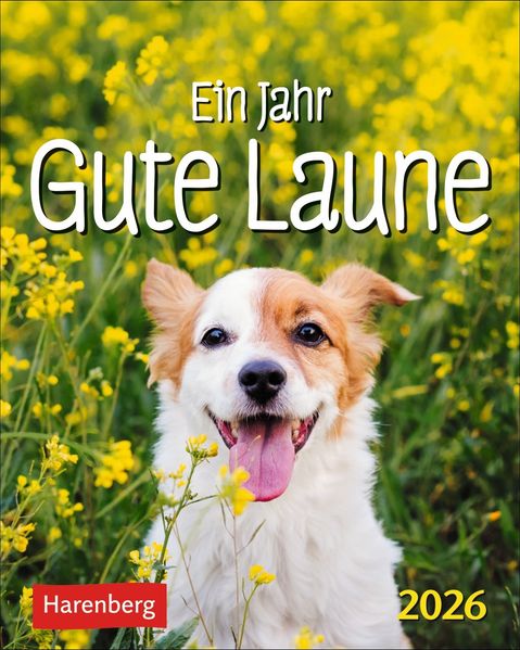 Cover von Ein Jahr gute Laune Mini-Geschenkkalender 2026