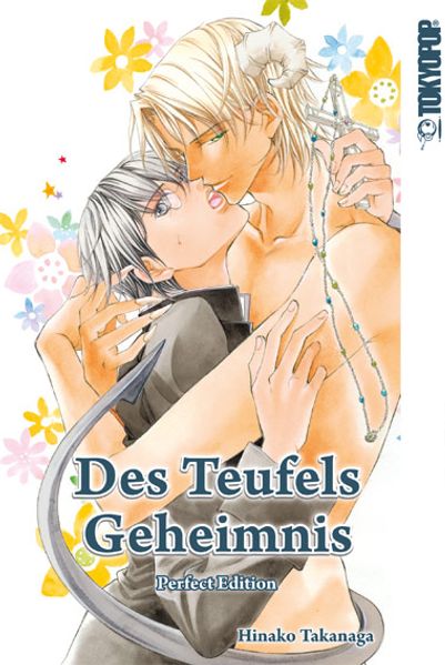 Cover von Des Teufels Geheimnis