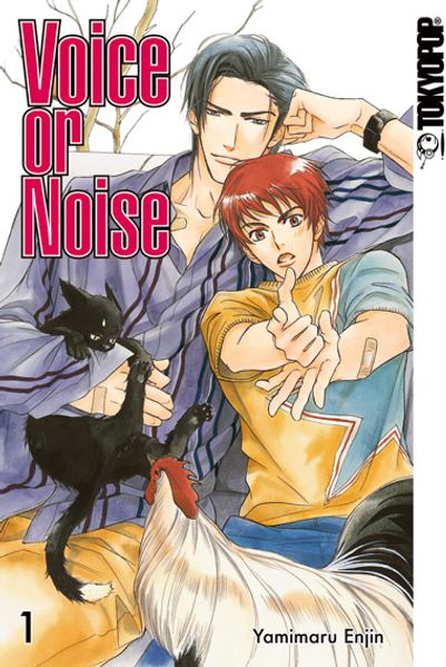 Cover von Voice or Noise 01