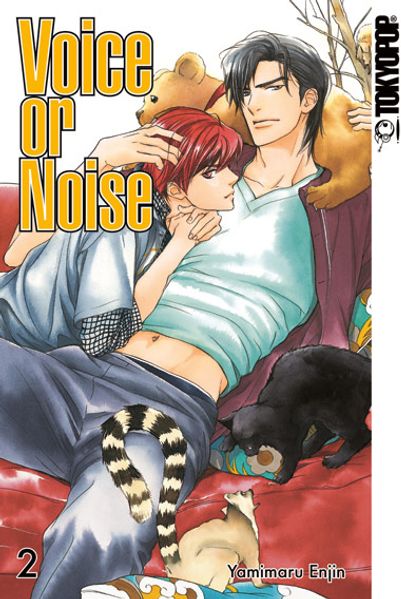 Cover von Voice or Noise 02