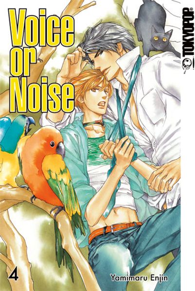 Cover von Voice or Noise 04