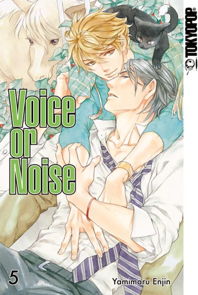 Cover von Voice or Noise 05