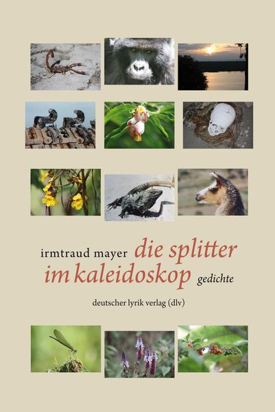 Cover von die splitter im kaleidoskop