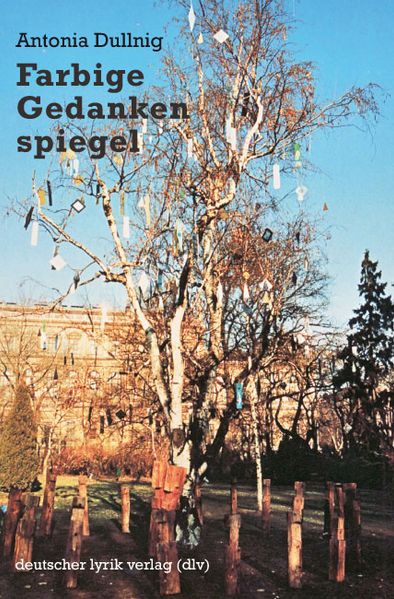Cover von Farbige Gedankenspiegel