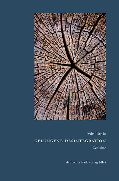 Cover von Gelungene Desintegration