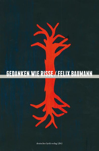 Cover von Gedanken wie Risse