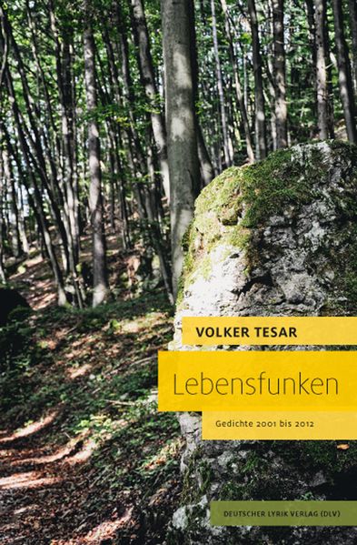 Cover von Lebensfunken