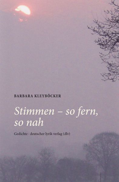 Cover von Stimmen – so fern, so nah