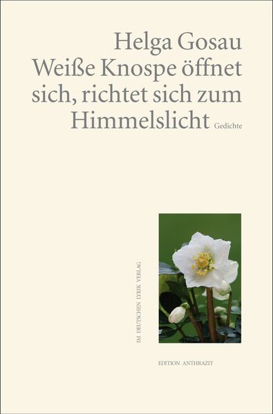 Cover von Weiße Knospe öffnet sich, richtet sich zum Himmelslicht