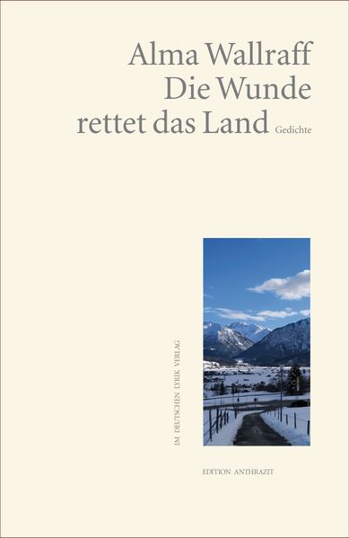 Cover von Die Wunde rettet das Land