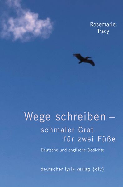 Cover von Wege schreiben – schmaler Grat für zwei Füße
