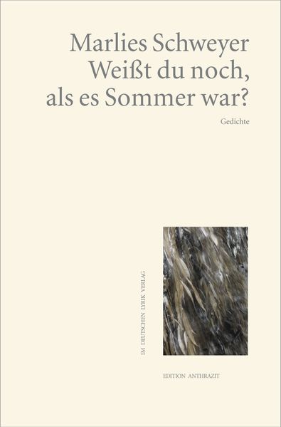 Cover von Weißt du noch, als es Sommer war?