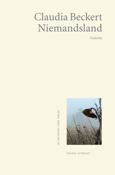 Cover von Niemandsland