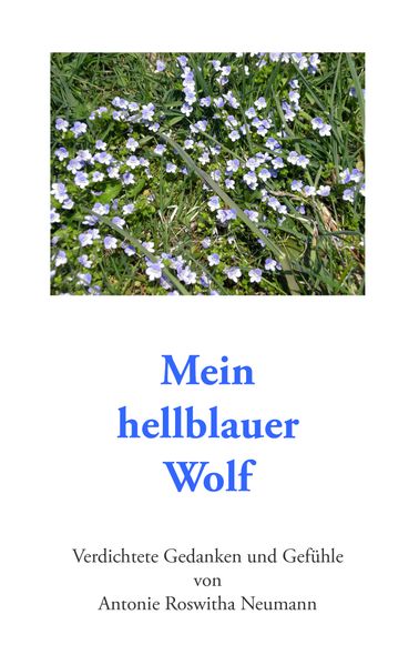 Cover von Mein hellblauer Wolf