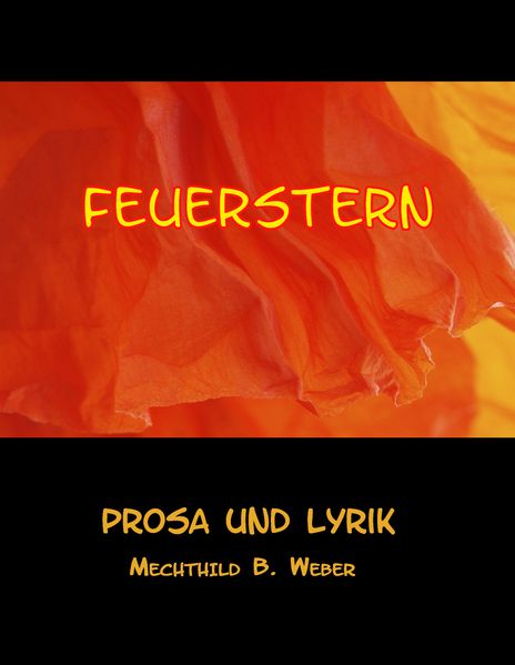 Cover von Feuerstern