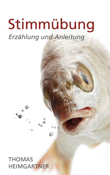Cover von Stimmübung