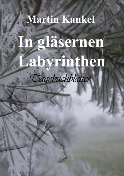 Cover von In gläsernen Labyrinthen