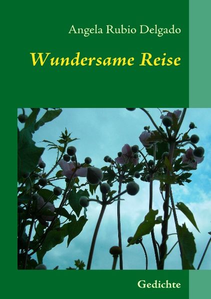 Cover von Wundersame Reise
