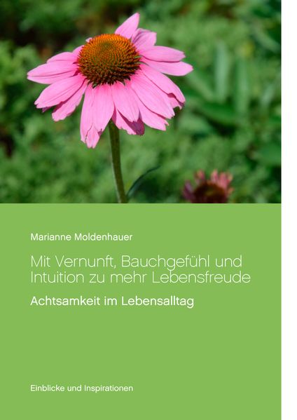 Cover von Mit Vernunft, Bauchgefühl und Intuition zu mehr Lebensfreude