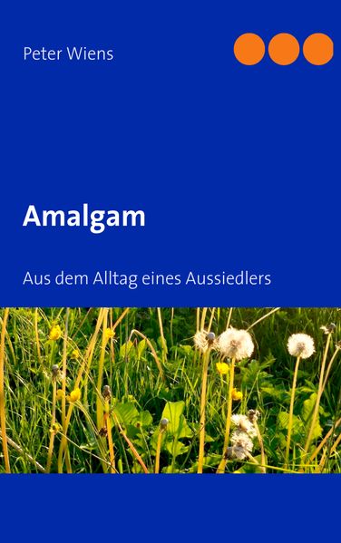 Cover von Amalgam