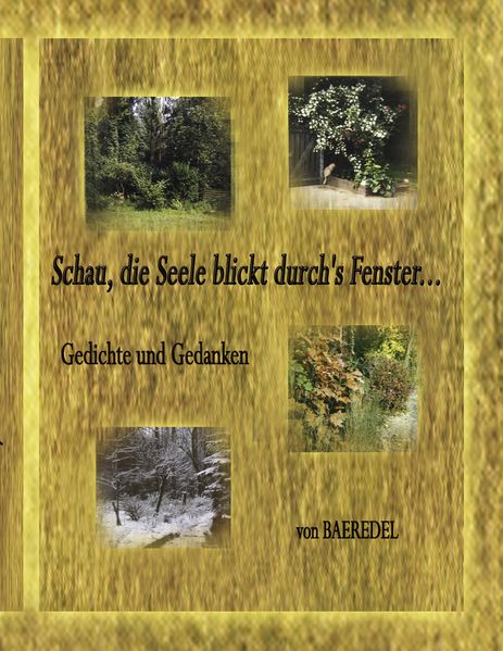 Cover von Schau, die Seele blickt durch’s Fenster…
