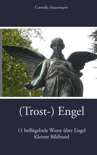 Cover von (Trost-) Engel