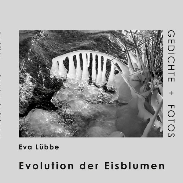 Cover von Evolution der Eisblumen