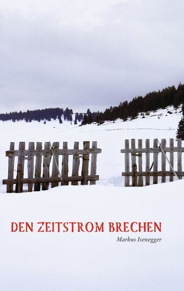 Cover von Den Zeitstrom brechen