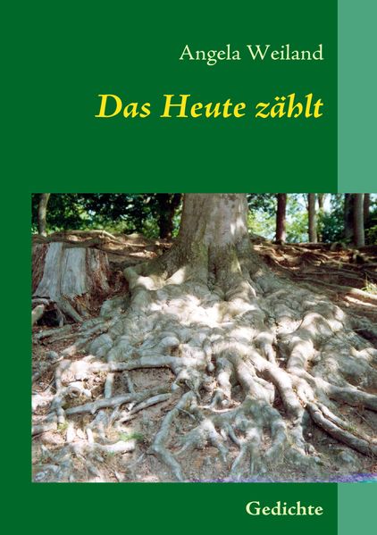 Cover von Das Heute zählt
