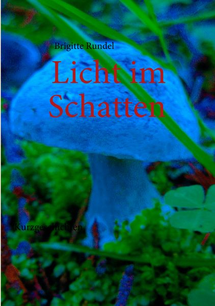 Cover von Licht im Schatten