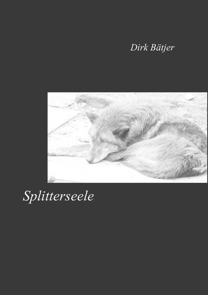 Cover von Splitterseele