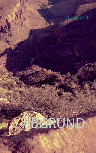 Cover von Abgrund