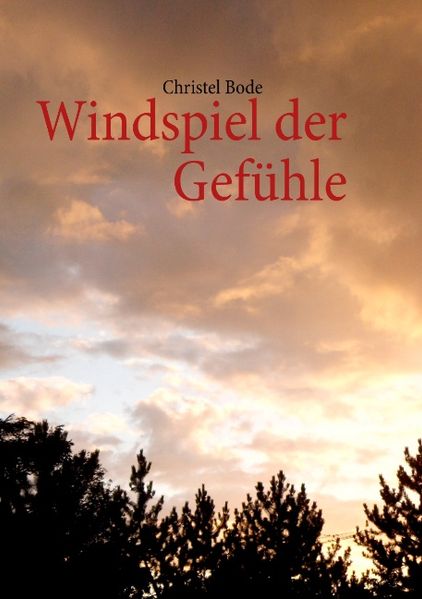 Cover von Windspiel der Gefühle