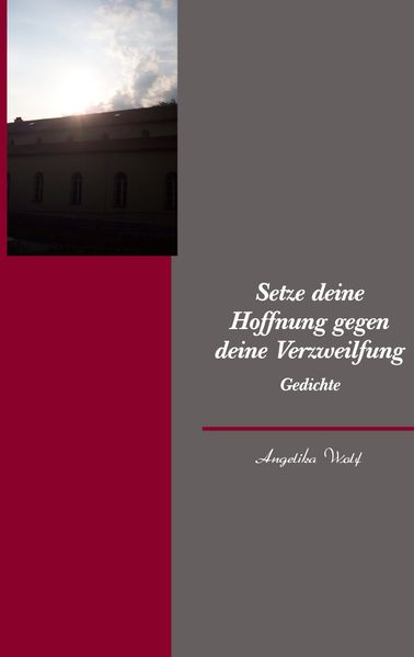 Cover von Setze deine Hoffnung gegen deine Verzweilfung
