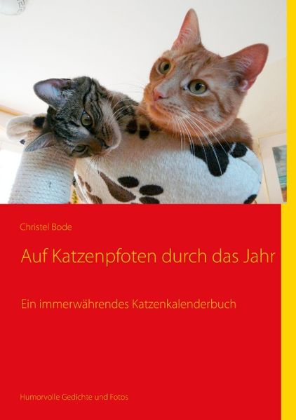 Cover von Auf Katzenpfoten durch das Jahr