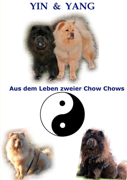 Cover von Yin und Yang