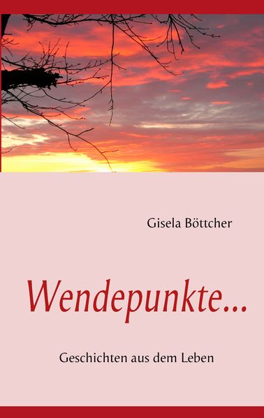 Cover von Wendepunkte…